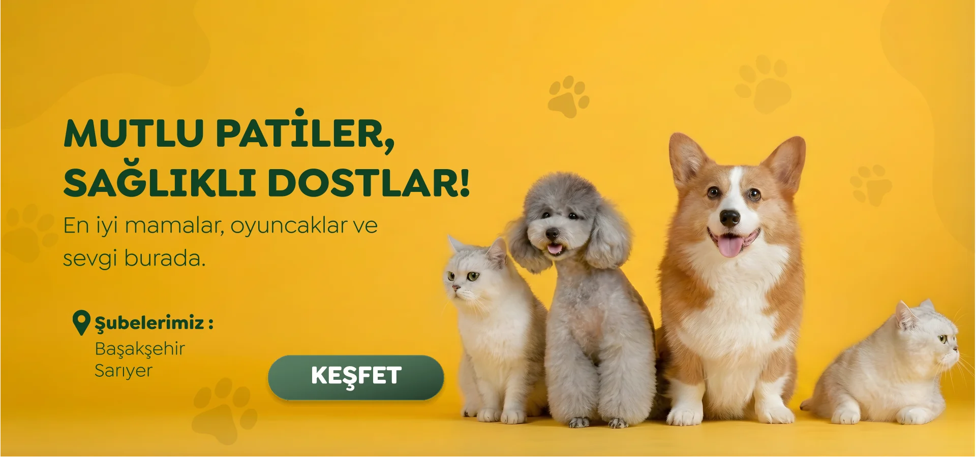 slider image slider_item_HkT8QF