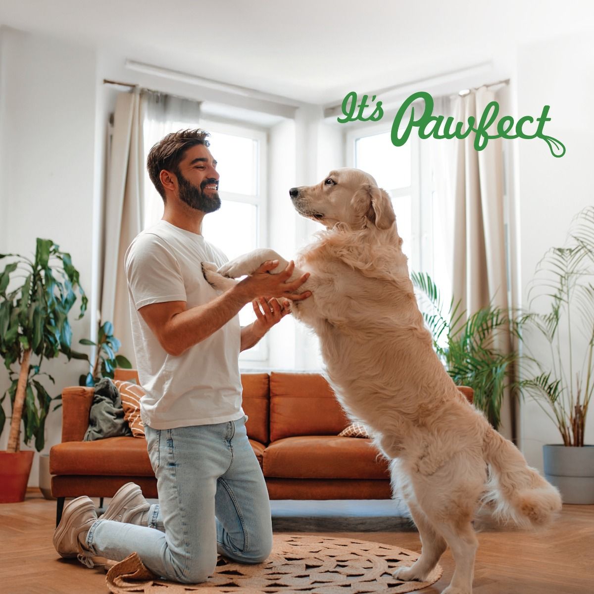 Pawfect Furfuel Tavuk Ciğeri Köpek Toppers, 150g