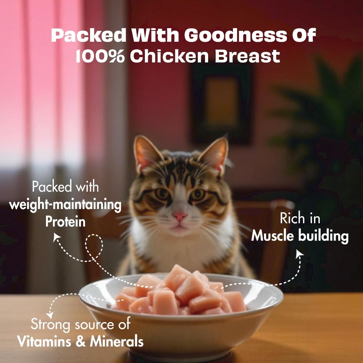 Pawfect Nature's Feast Freeze Dried Dondurulmuş Kurutulmuş Kedi Ödülü, 50g