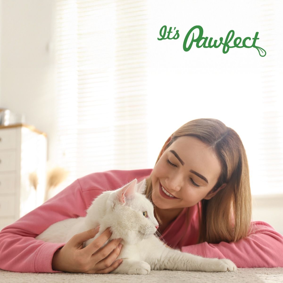 Pawfect Nature's Feast Freeze Dried Dondurulmuş Kurutulmuş Kedi Ödülü, 50g