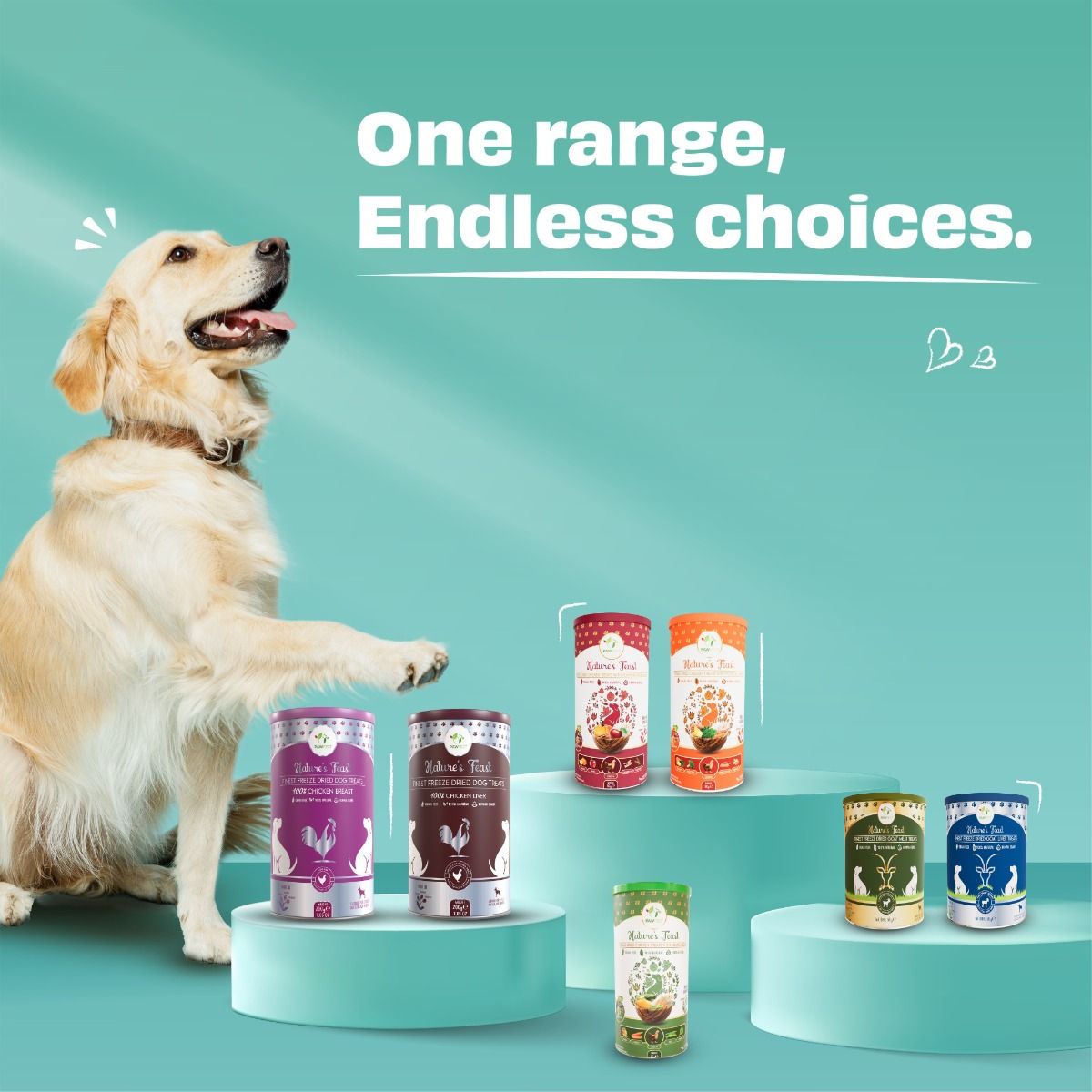 Pawfect Nature's Feast Freeze Dried Dondurulmuş Kurutulmuş Köpek Ödülü, 50g
