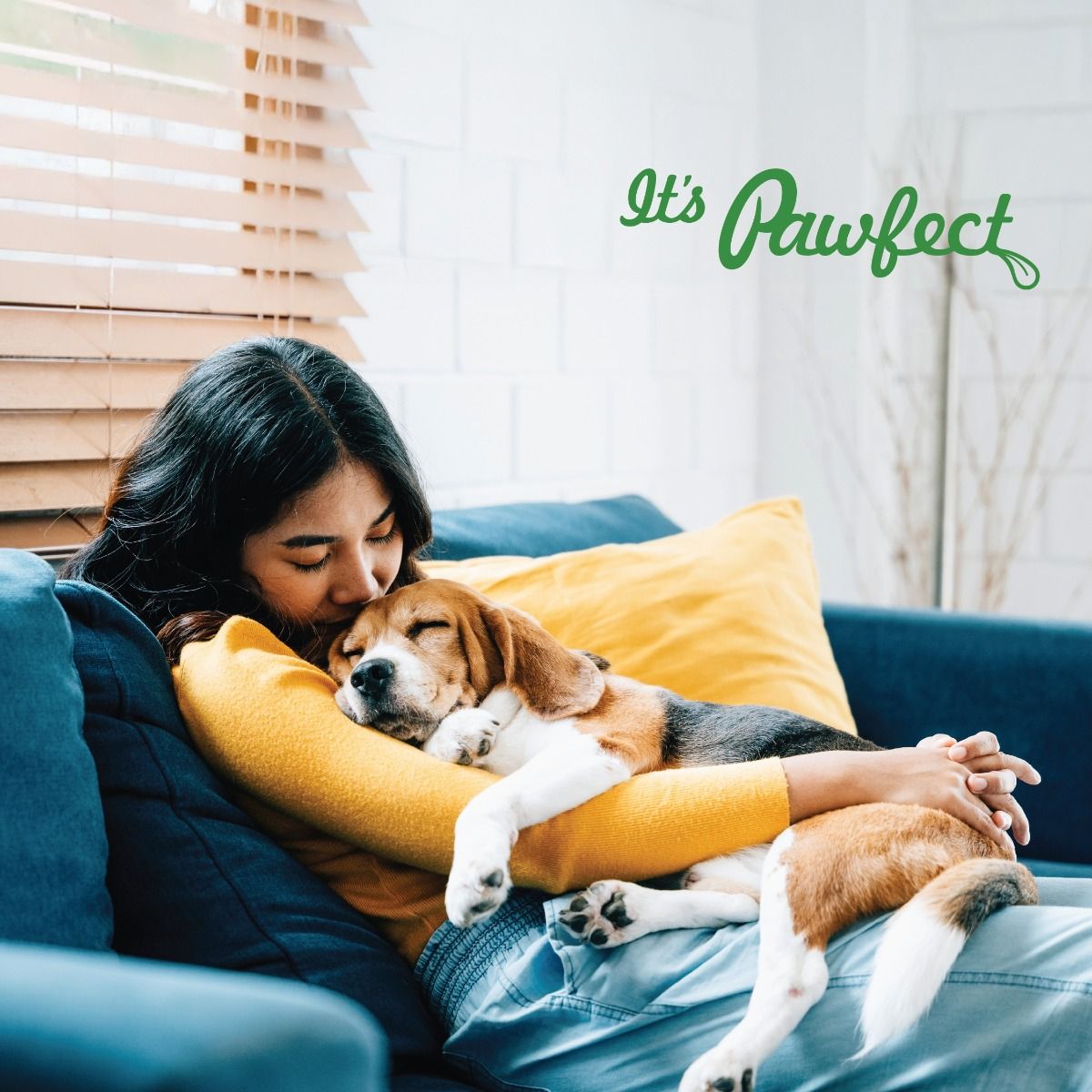 Pawfect Yoğurt Dondurulmuş Kurutulmuş Köpek Ödülü, 38g