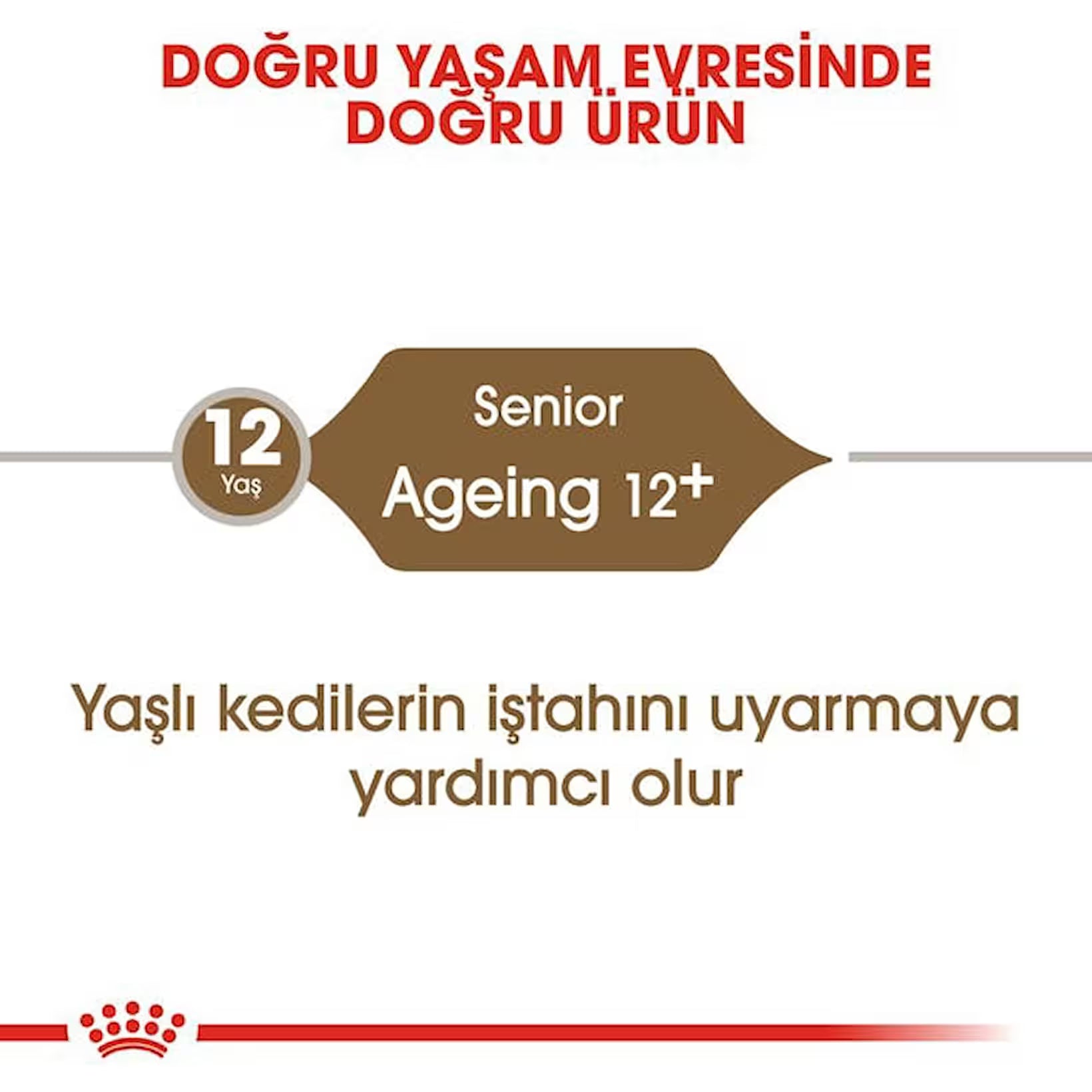 Royal Canin Ageing +12 Yaşlı Kedi Maması, 2Kg