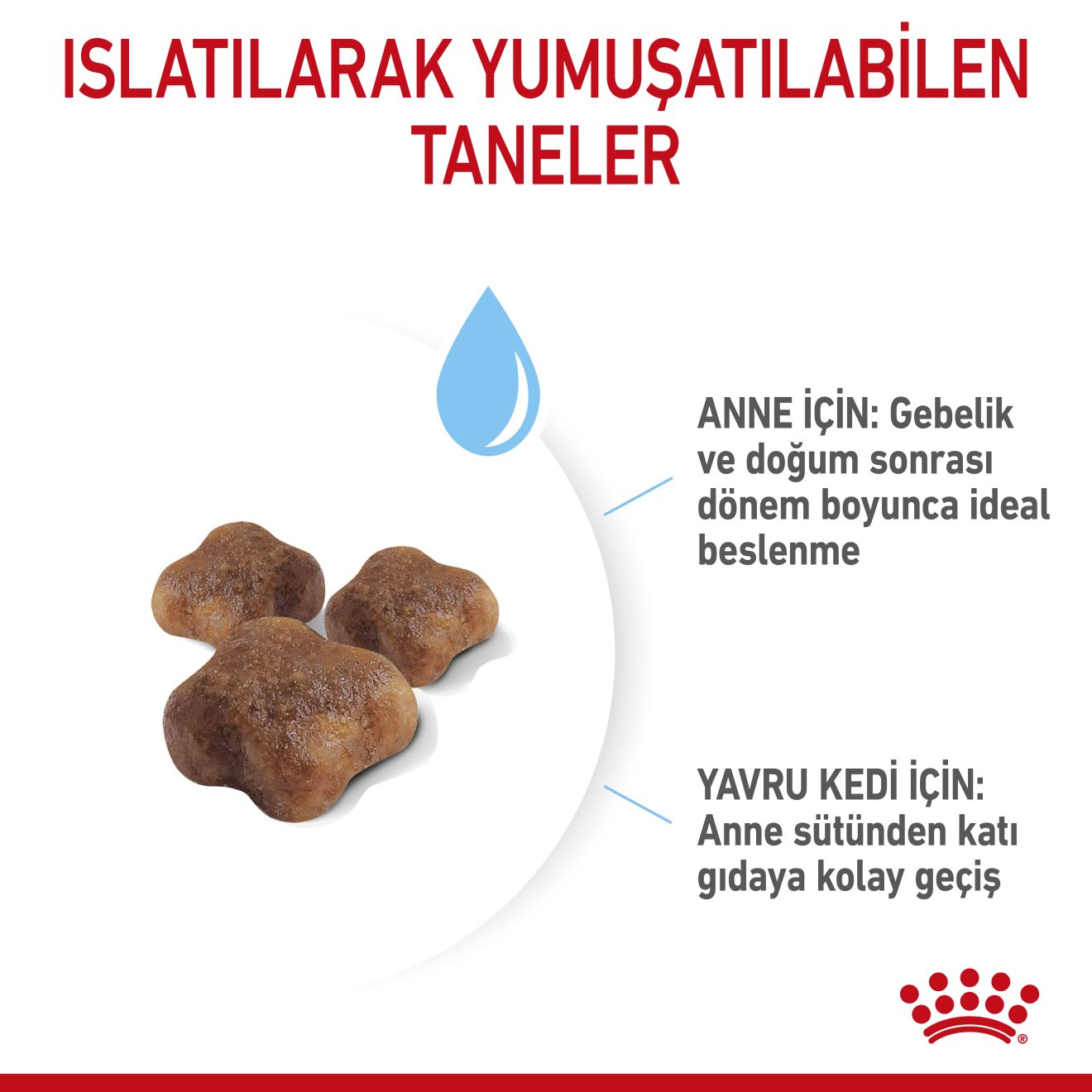 Royal Canin Babycat Yavru Kedi Maması