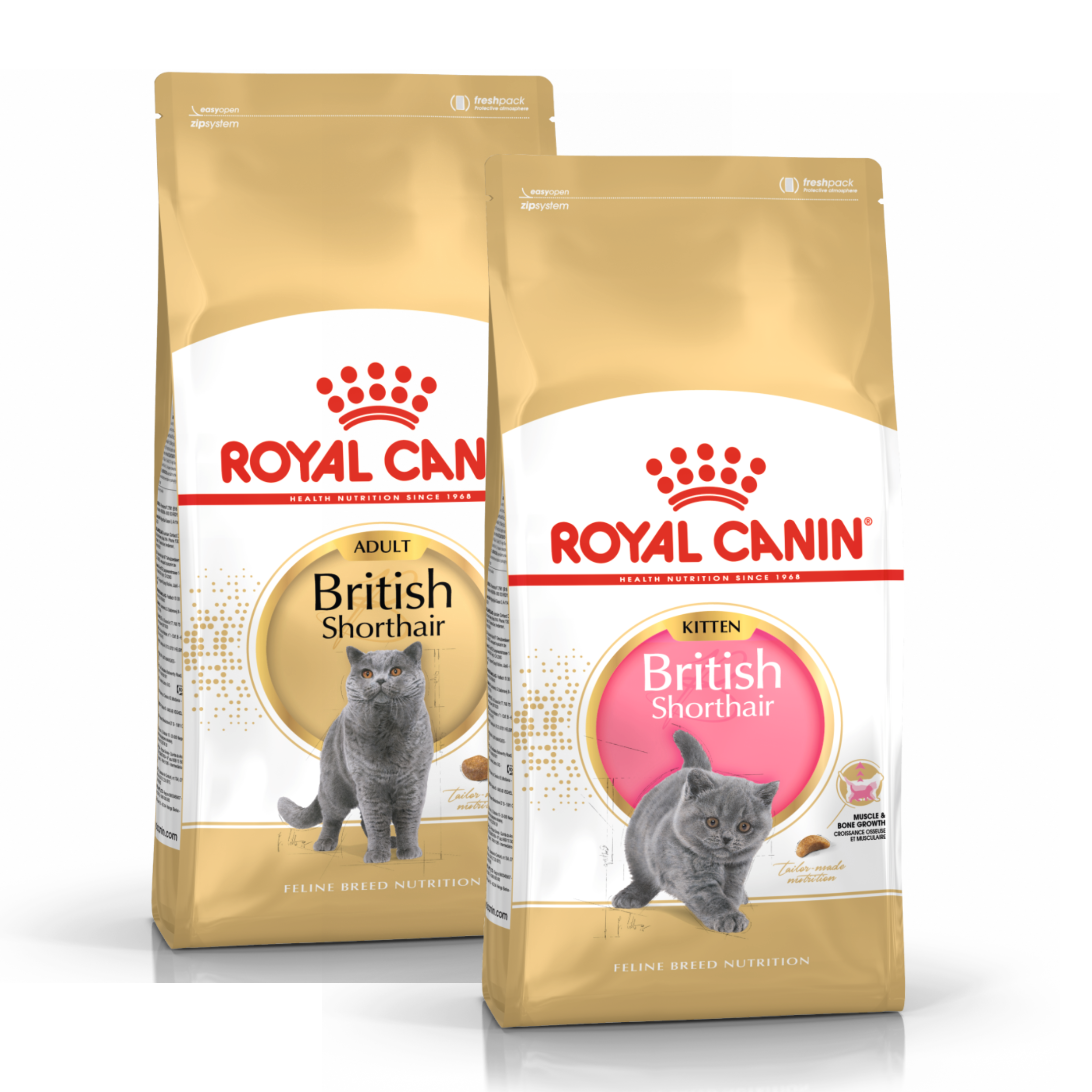 Royal Canin British Shorthair Kedi Maması
