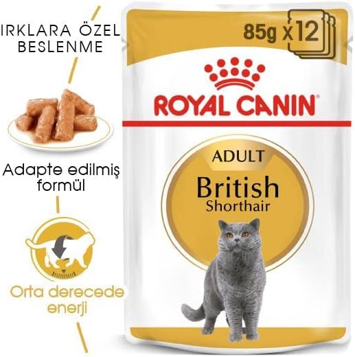 Royal Canin British Shorthair Yetişkin Kedi Yaş Maması, 85g