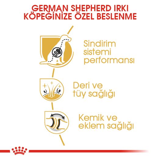Royal Canin German Shepherd Yetişkin Köpek Maması, 11Kg