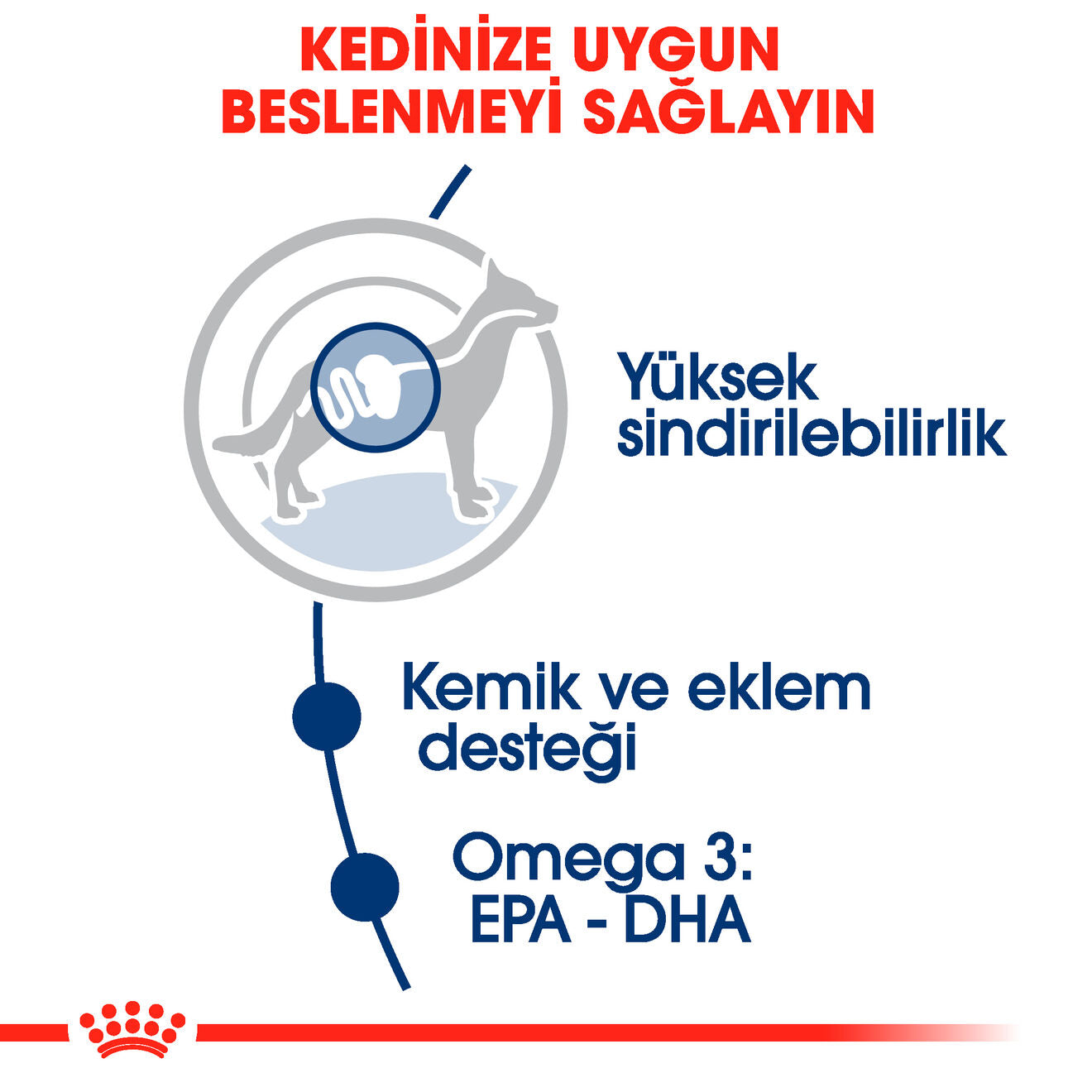 Royal Canin Maxi Adult Büyük Yetişkin Köpek Yaş Maması, 140g