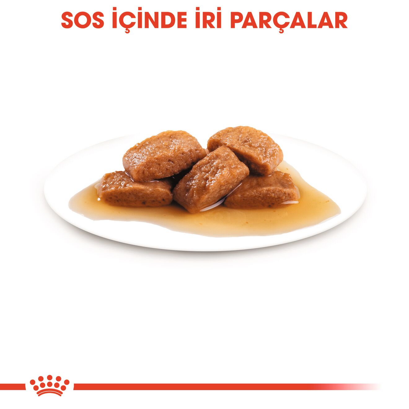 Royal Canin Maxi Adult Büyük Yetişkin Köpek Yaş Maması, 140g