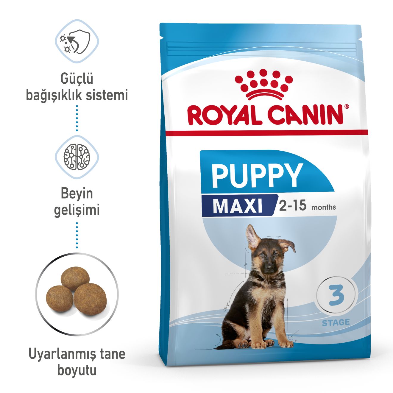 Royal Canin Maxi Puppy Büyük Yavru Köpek Maması, 15Kg