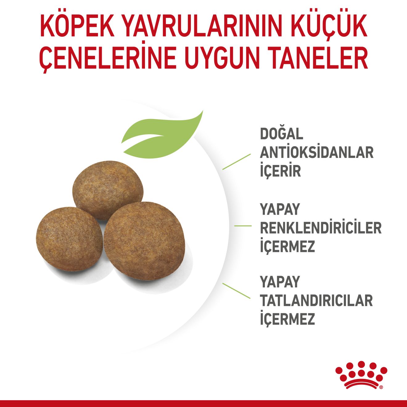 Royal Canin Maxi Puppy Büyük Yavru Köpek Maması, 15Kg