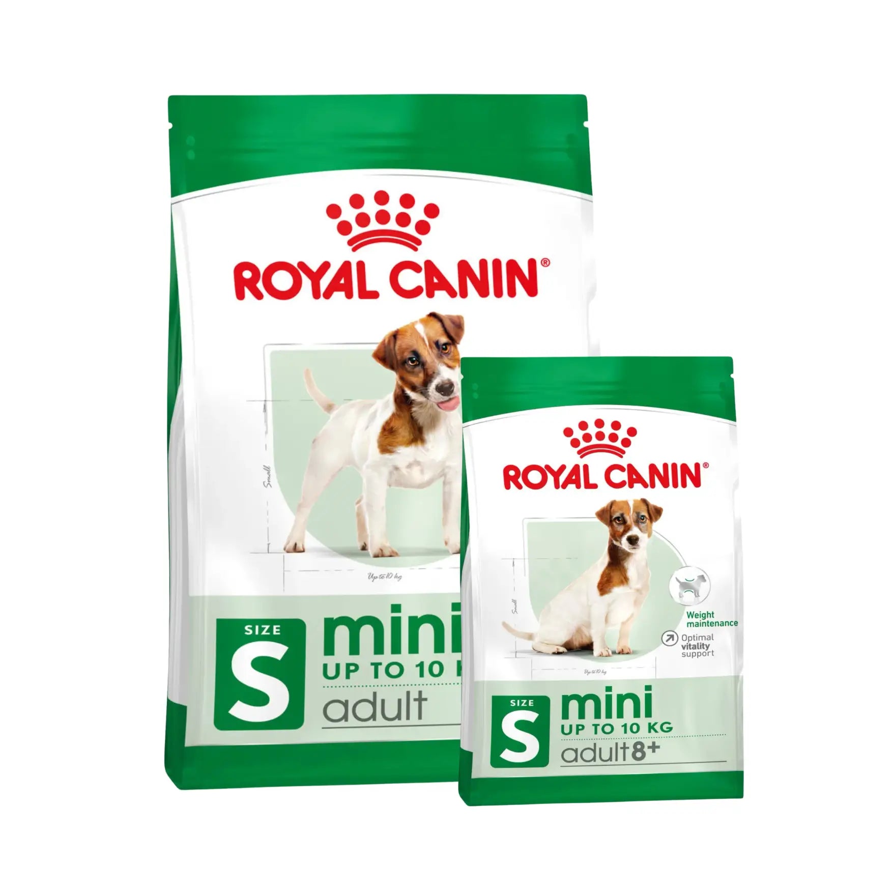 Royal Canin Mini Adult Köpek Maması