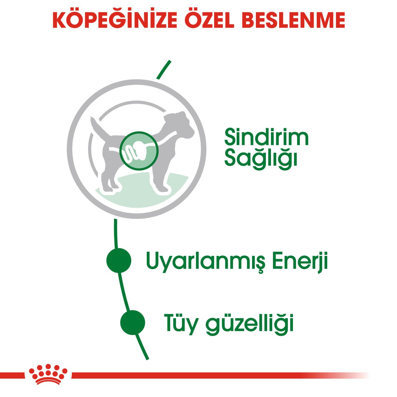 Royal Canin Mini Köpek Konserve Maması, 85g
