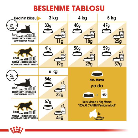 Royal Canin Persian Yetişkin Kedi Maması