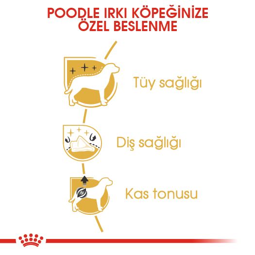 Royal Canin Poodle Köpek Maması, 3Kg