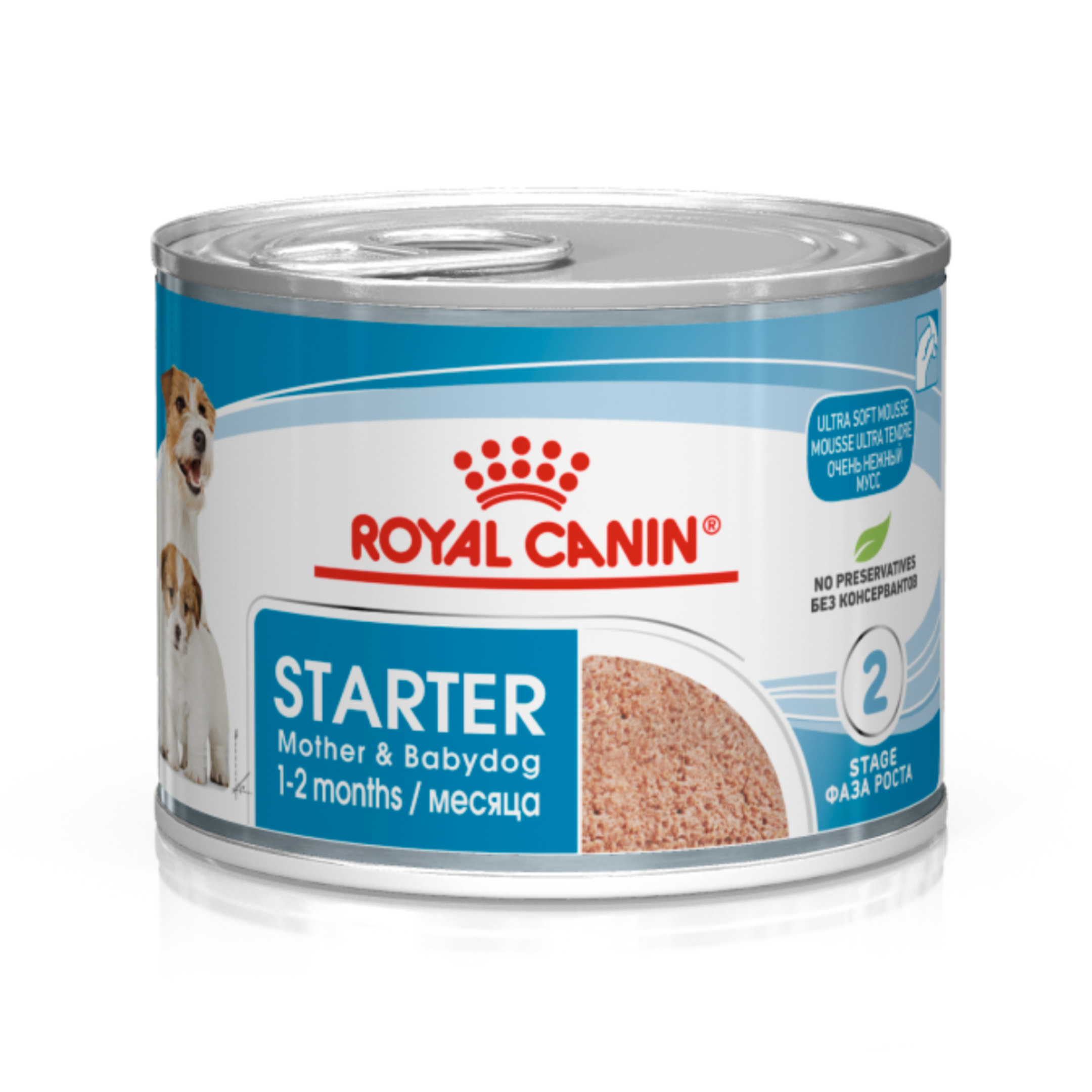 Royal Canin Starter Mousse Yavru Köpek Konserve Maması, 195g