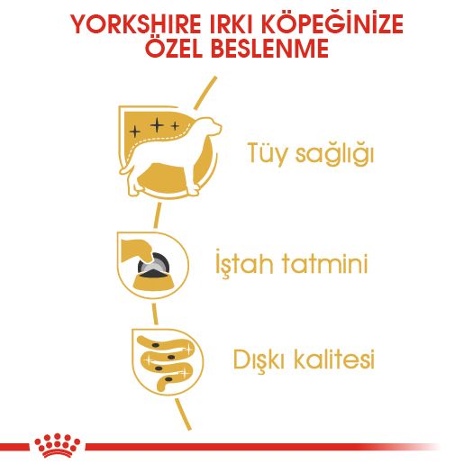 Royal Canin Yorkshire Terrier Yetişkin Köpek Yaş Maması, 85g
