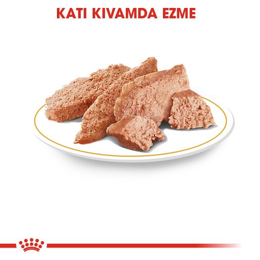 Royal Canin Yorkshire Terrier Yetişkin Köpek Yaş Maması, 85g