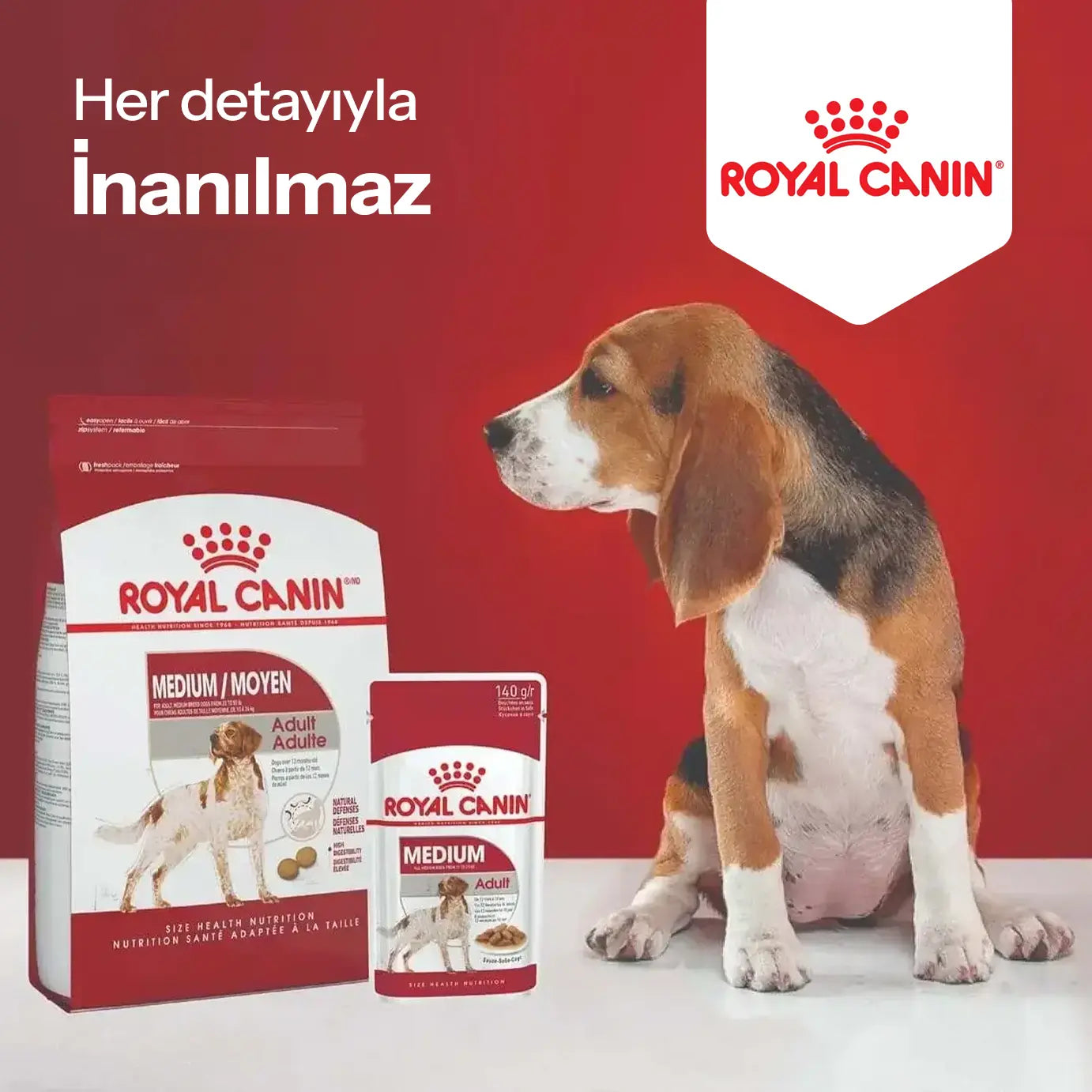 Catz & Dogz | Premium Pet Shop ve Online Pet Market
