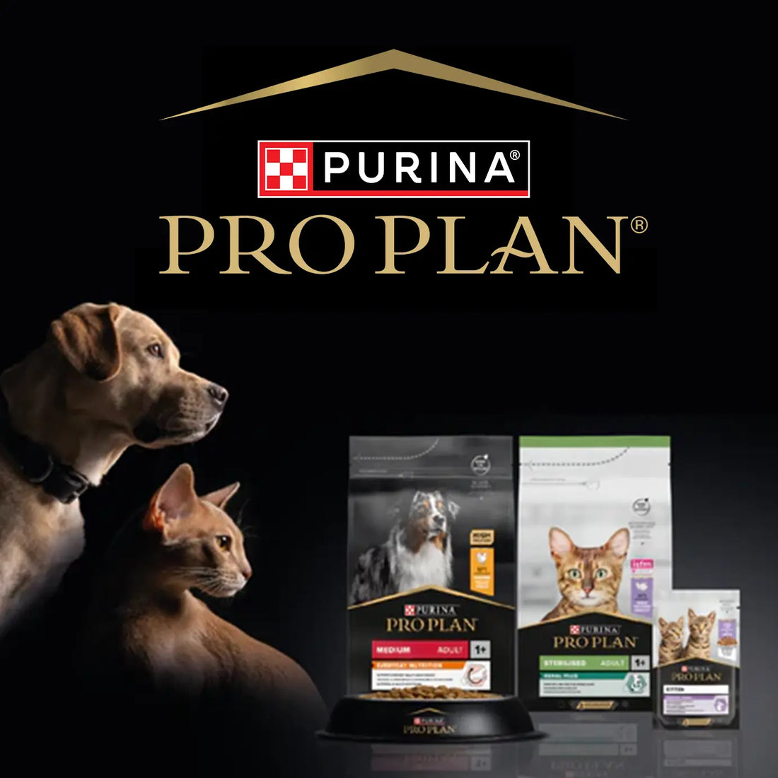 Catz & Dogz | Premium Pet Shop ve Online Pet Market