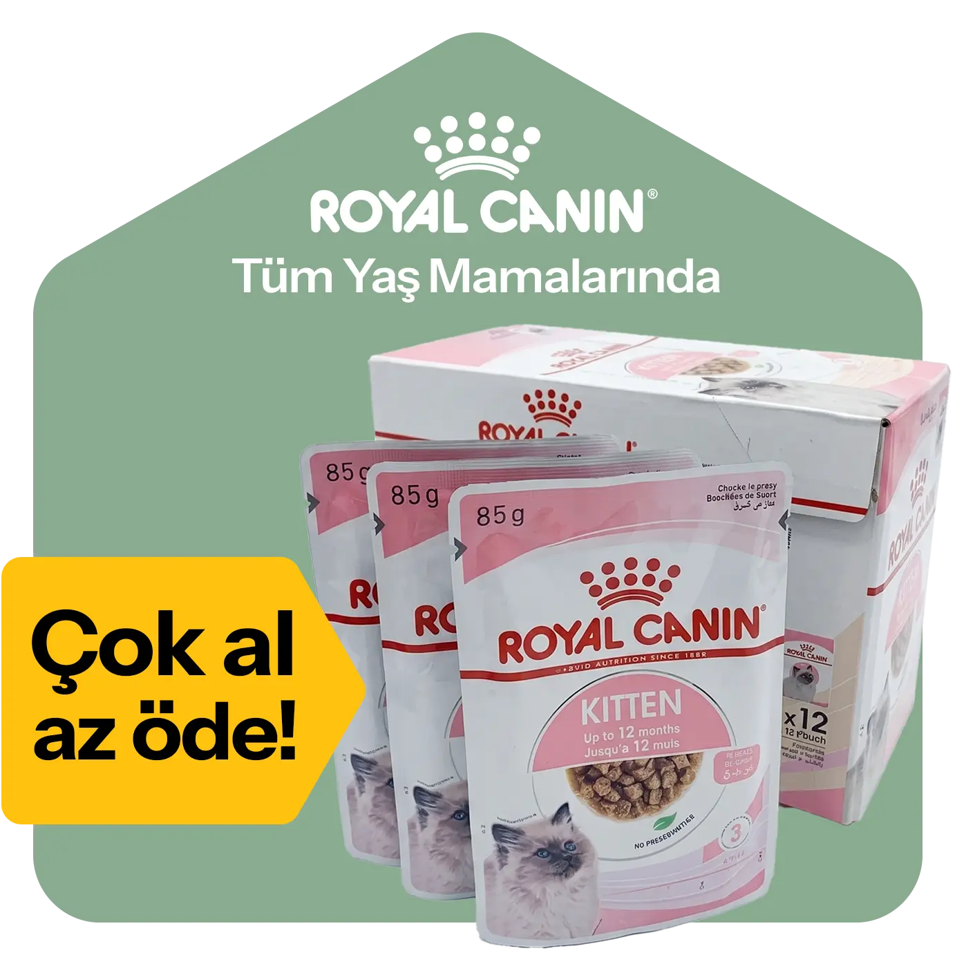 Catz & Dogz | Premium Pet Shop ve Online Pet Market