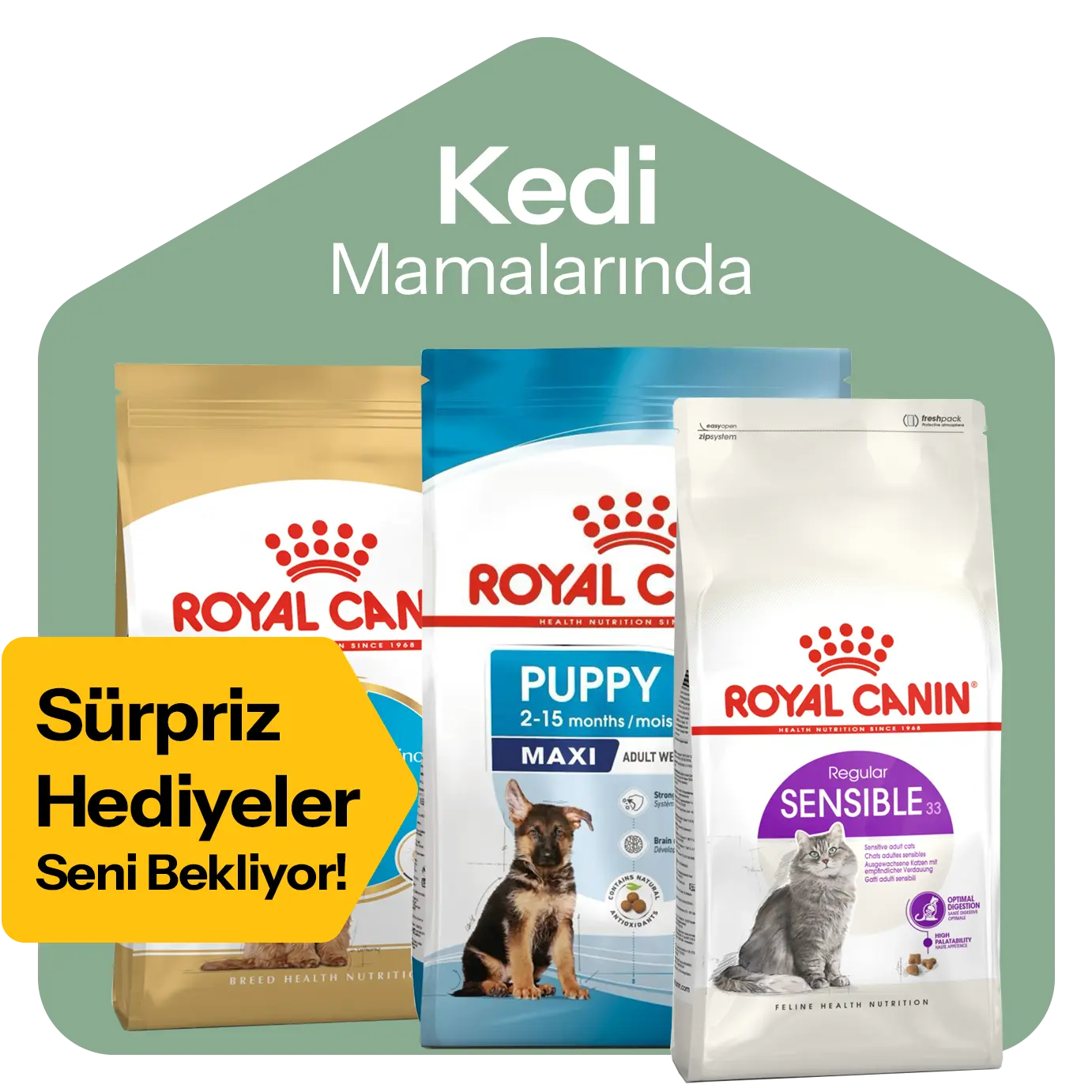 Catz & Dogz | Premium Pet Shop ve Online Pet Market