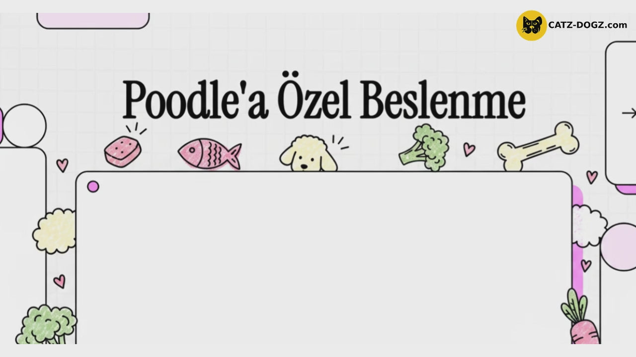 Videoyu yükle: 