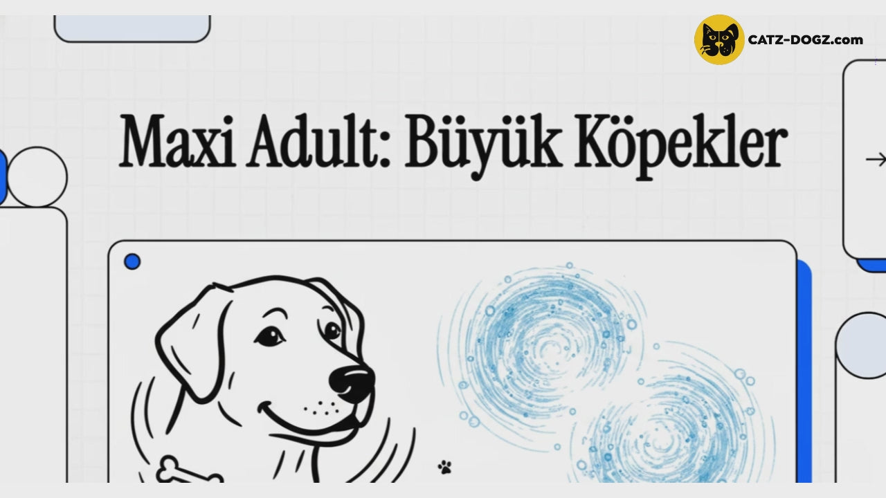 Videoyu yükle: 
