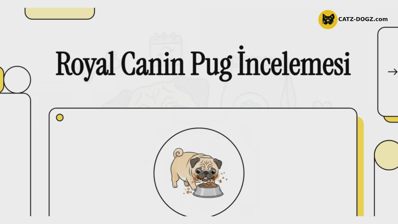 Videoyu yükle: 