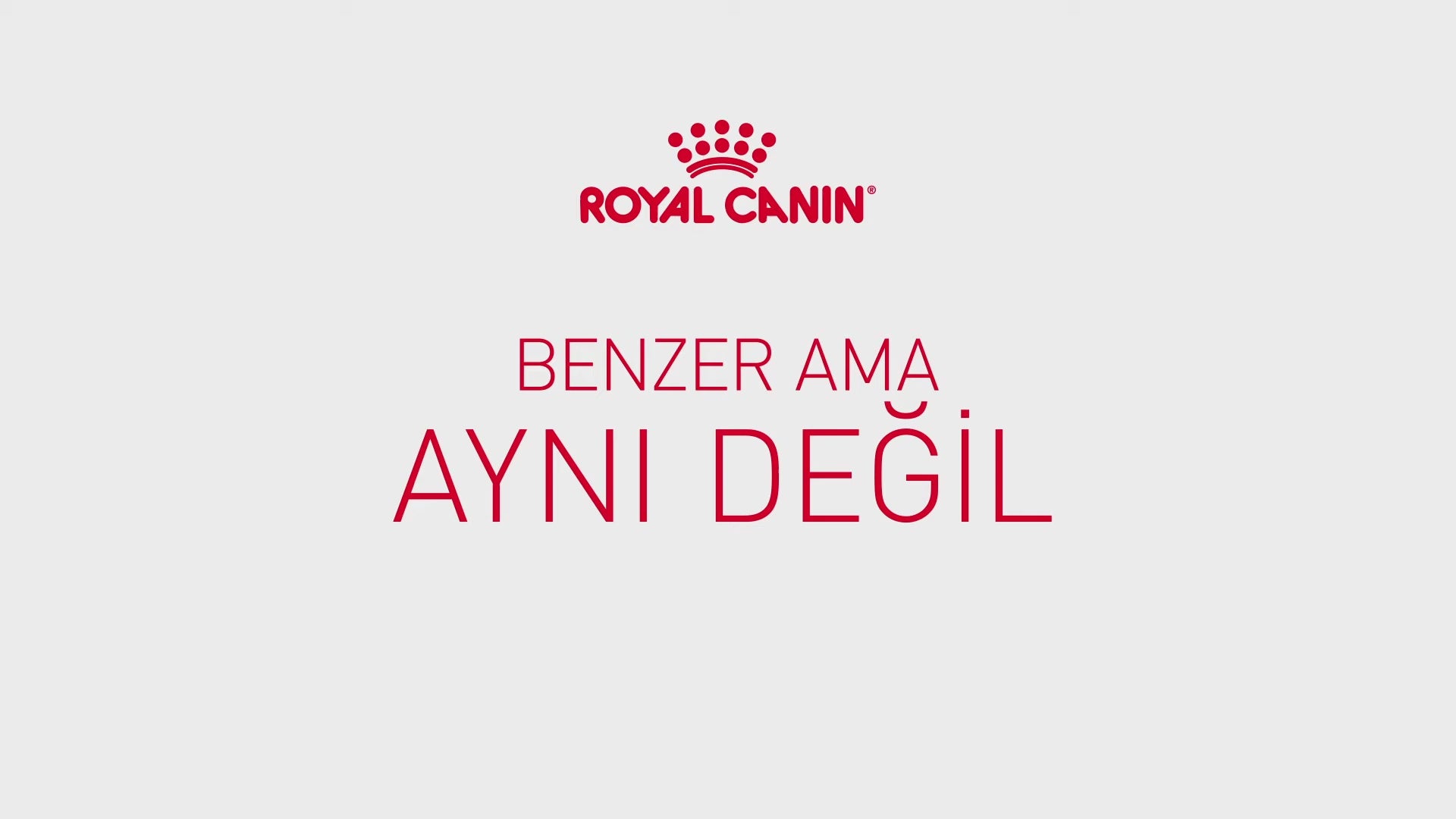 Videoyu yükle: 